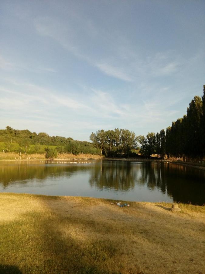 Antica Dimora Figli Di Bocco Apartamento Castiglion Fibocchi Exterior foto