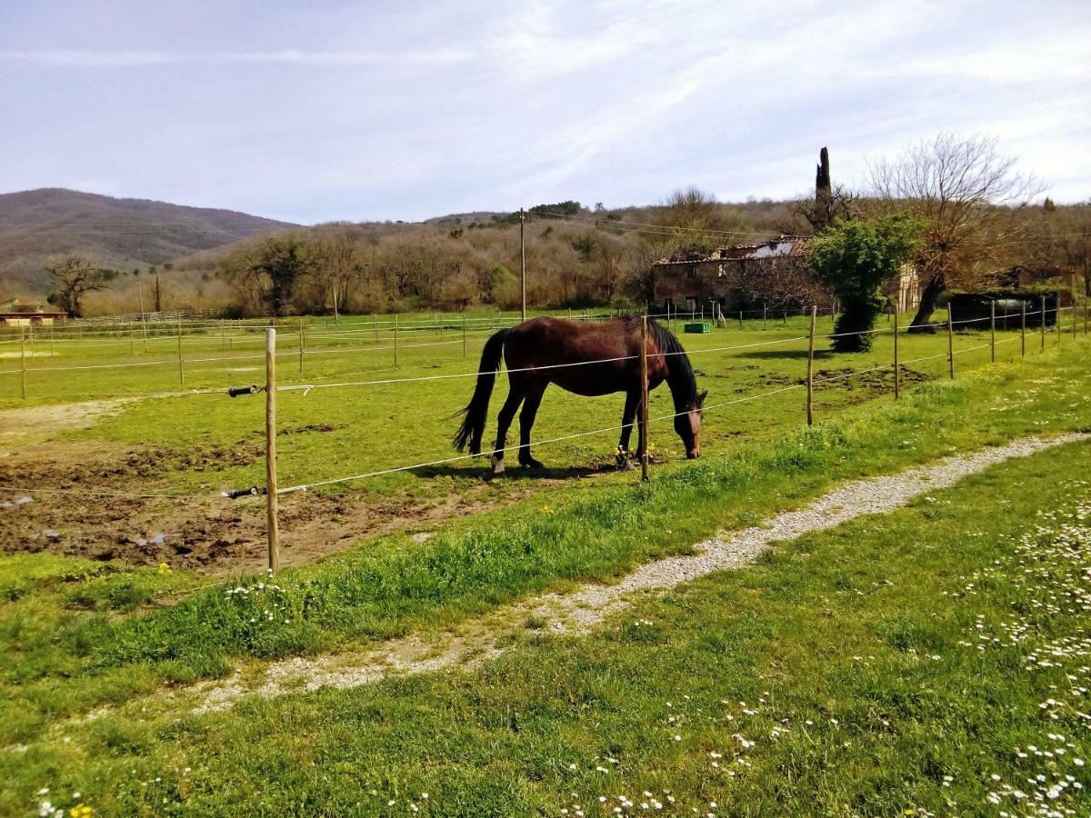 Antica Dimora Figli Di Bocco Apartamento Castiglion Fibocchi Exterior foto